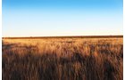 TRACT 1 - REAL ESTATE & MINERAL AUCTION - 640+/- ACRES & PRODUCING MINERALS OFFERED IN 8 TRACTS IN MORTON COUNTY, KANSAS